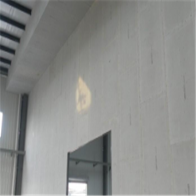 乐至宁波ALC板|EPS加气板隔墙与混凝土整浇联接的实验研讨